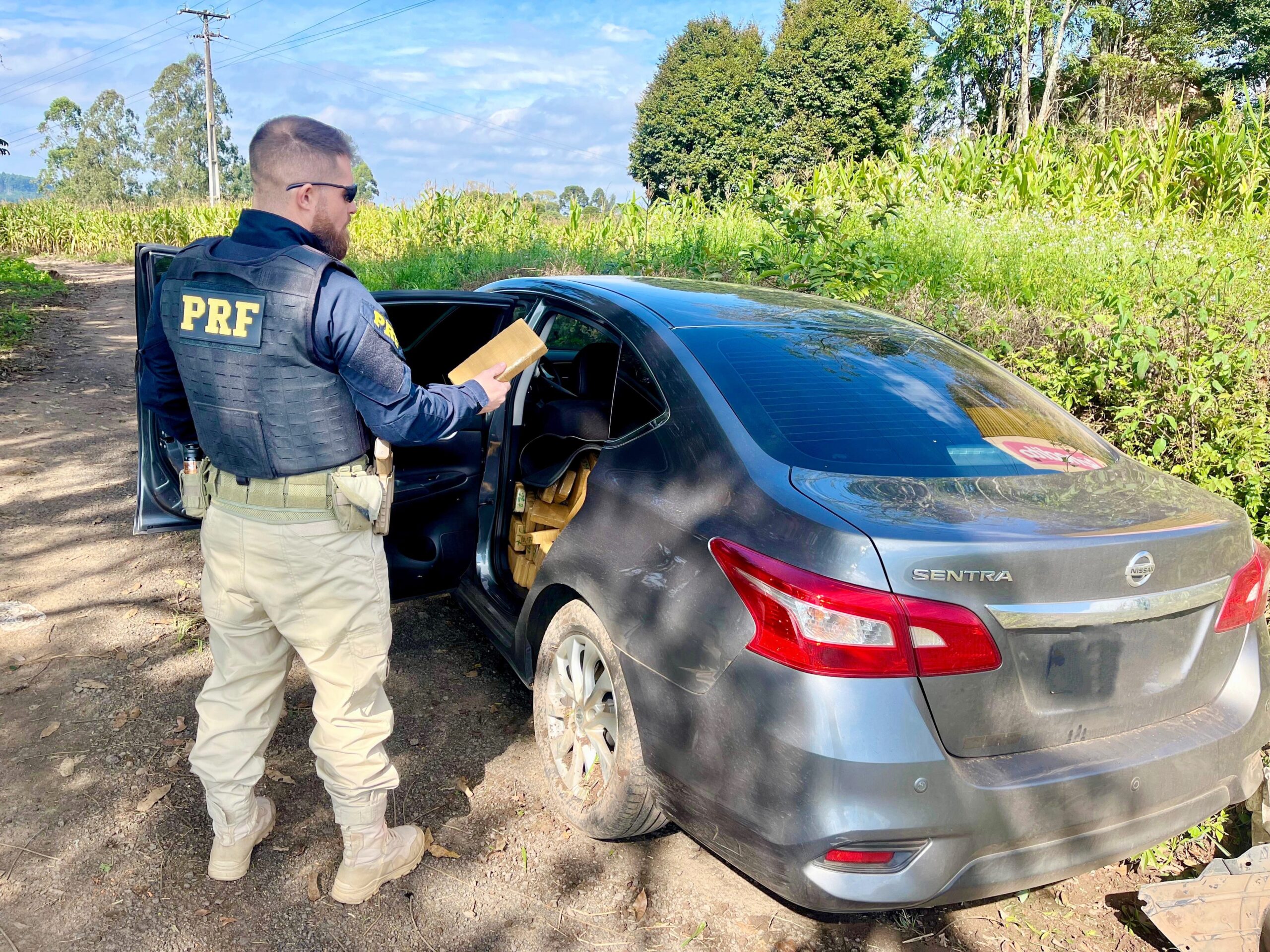 Motorista que estava transportando drogas abandonou o veículo após sofrer acidente na BR-277, em Prudentópolis